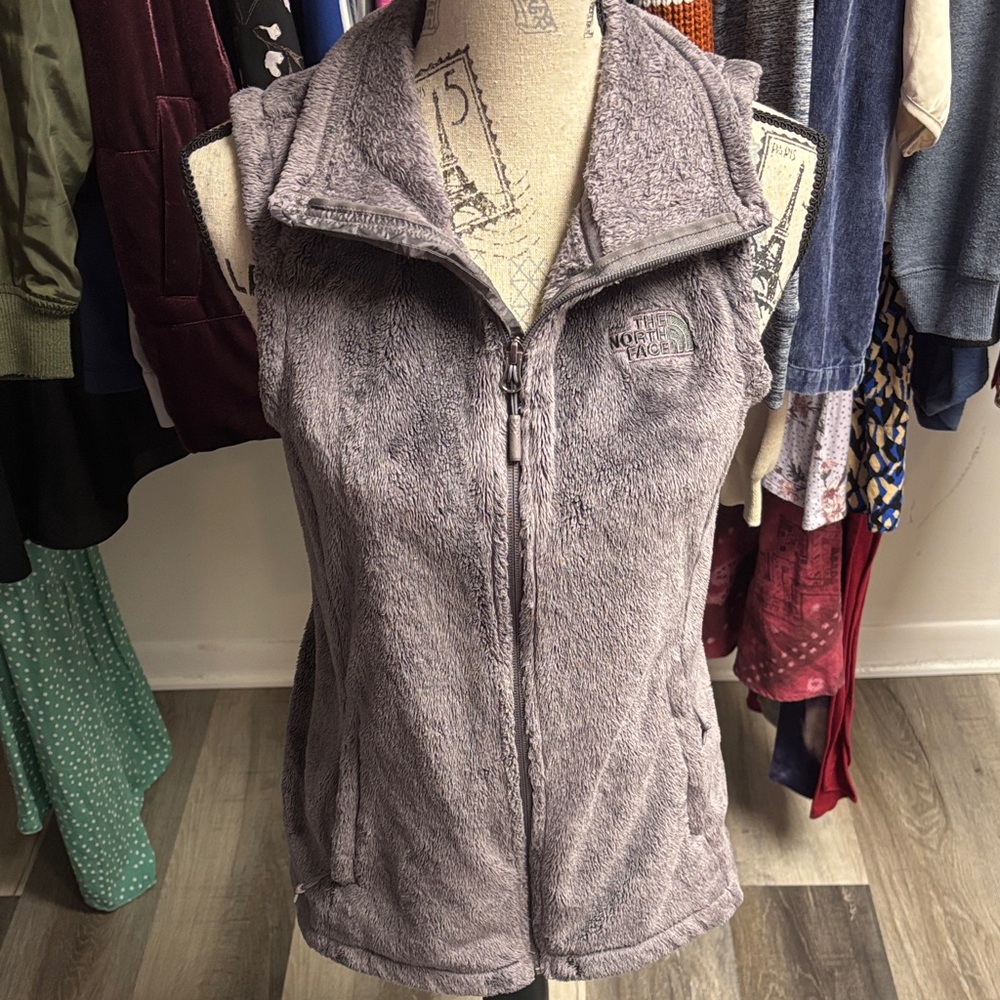 The North Face Gray Vest